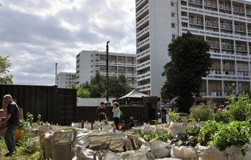 Urban garden next to large housing estate