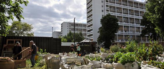 Urban garden next to large housing estate